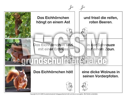 Eichhörnchen-Satzteile-verbinden-einfach 8.pdf